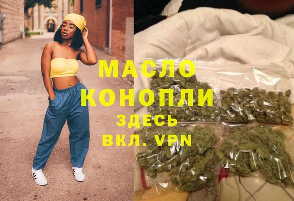 МДПВ Гусев
