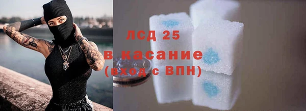 трава Гусь-Хрустальный