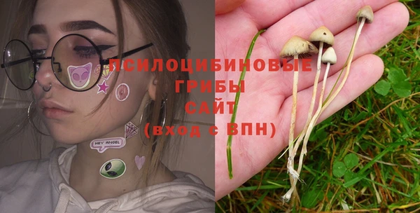 МДПВ Гусев