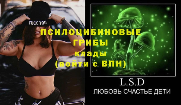прущая мука Гусиноозёрск