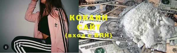 МДПВ Гусев