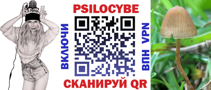 Псилоцибиновые грибы Cubensis  наркота  Астрахань 